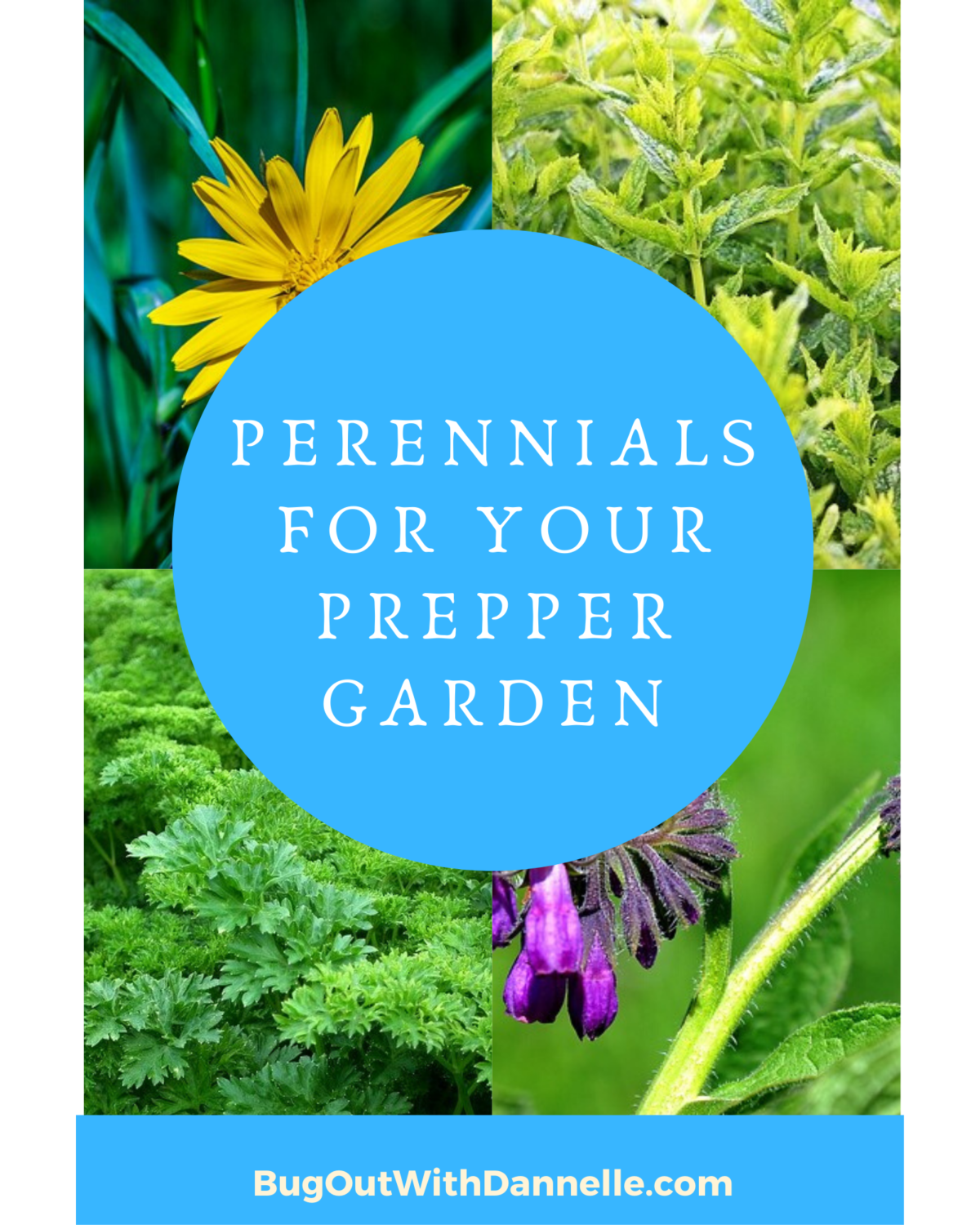 Perennials For Your Prepper Garden
