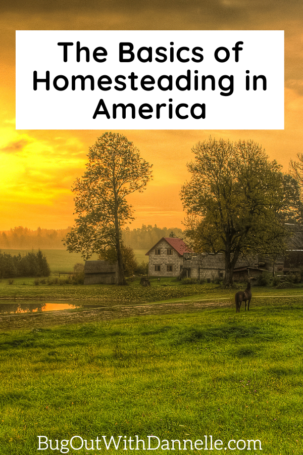 The Basics of Homesteading in America farm at sunset with horse