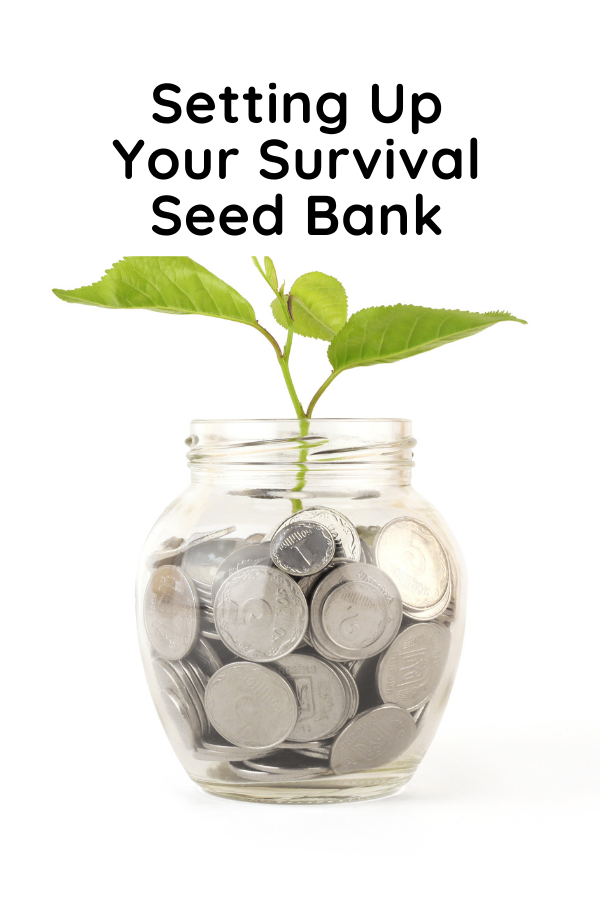 Setting Up Your Survival Seed Bank