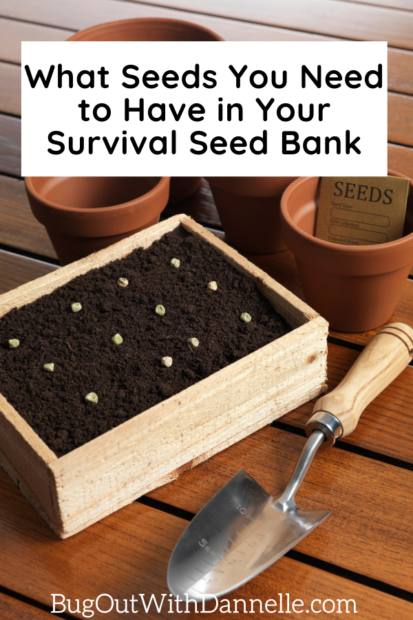 HOW TO SAVE SEEDS