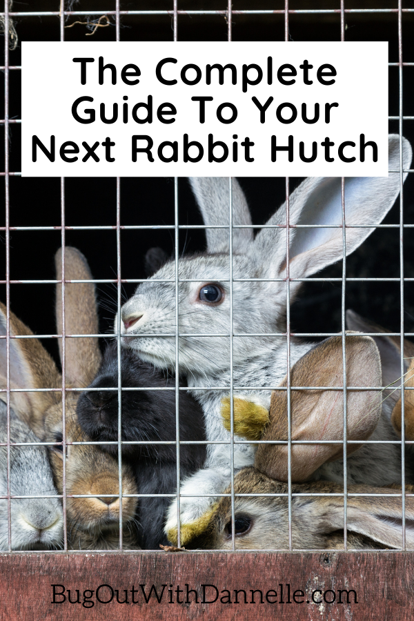 The Complete Guide To Your Next Rabbit Hutch