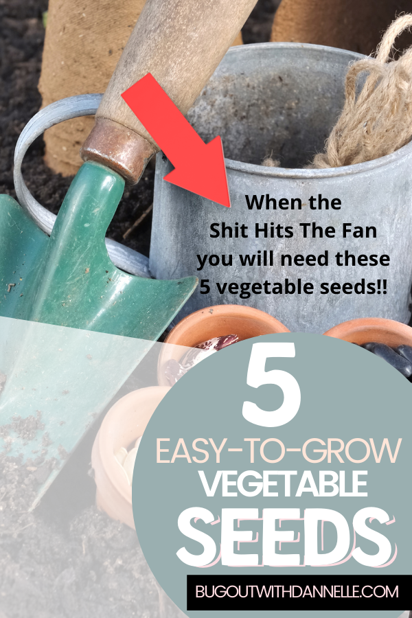 The Top Five Easy to Grow Vegetable Seeds