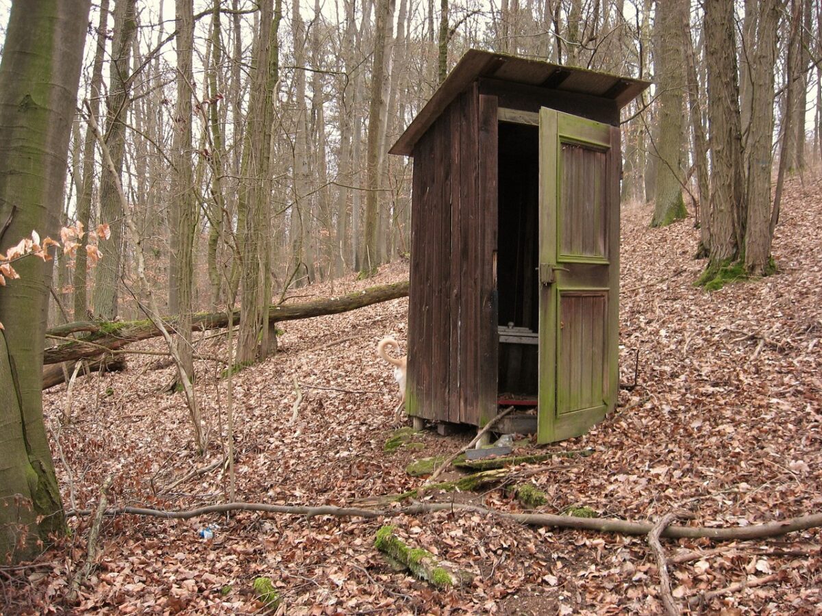 Best Composting Toilet for Off-Grid Living: Top Eco-Friendly Choices