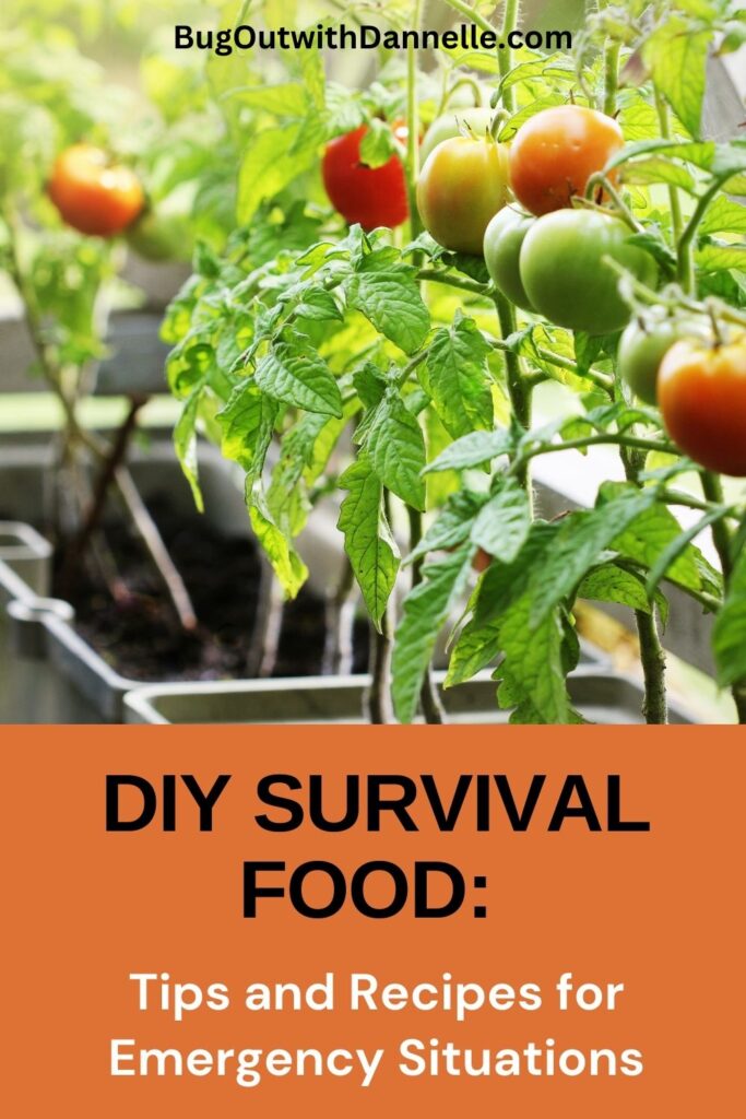 DIY Survival Food Cover Image